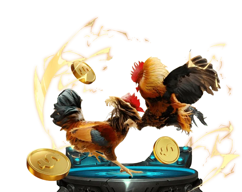 Hình ảnh giới thiệu đá gà trực tuyến tại Jun88